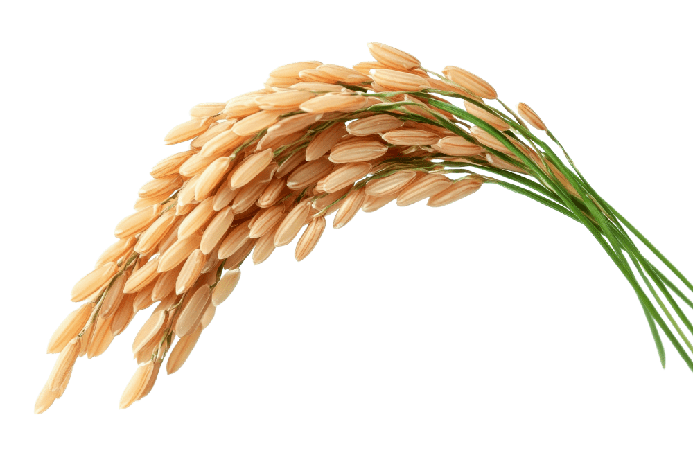 農業
